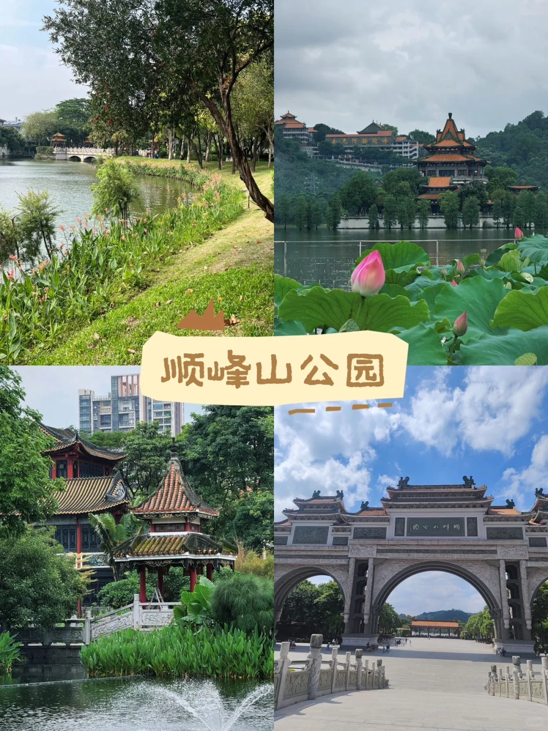 国庆顺德 | 本地人都爱的宝藏吃喝路线💥