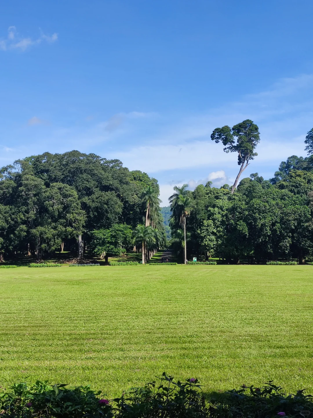 斯里兰卡❗小众宝藏旅行地❗每天100R不到