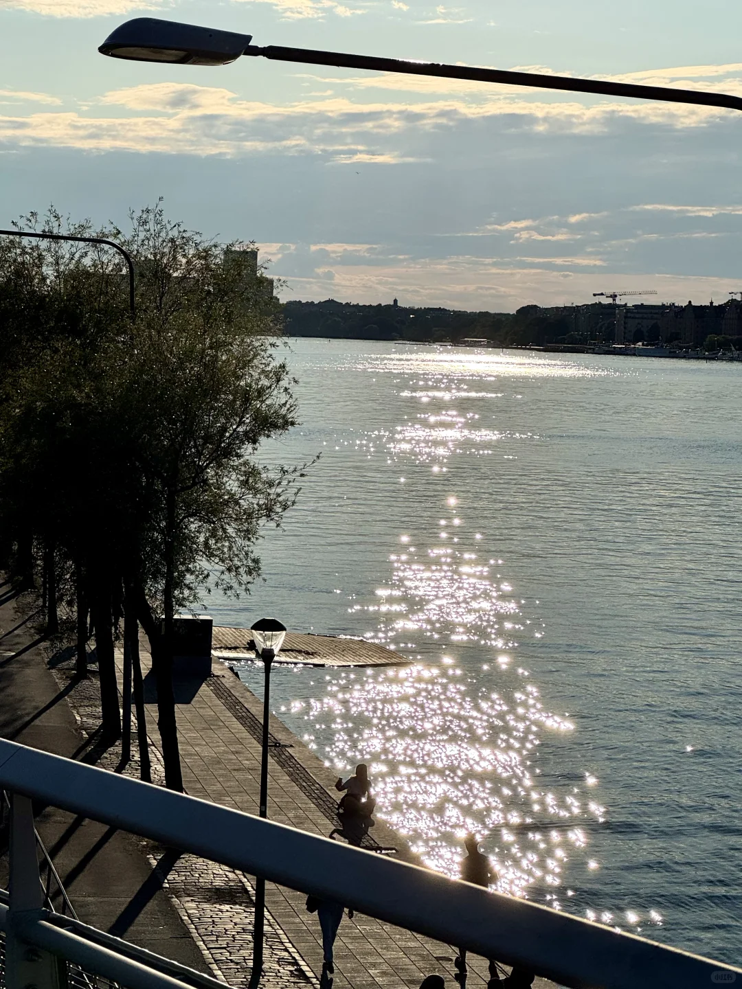 北欧的夏天太美好!Live图|旅行碎片🧩记录者