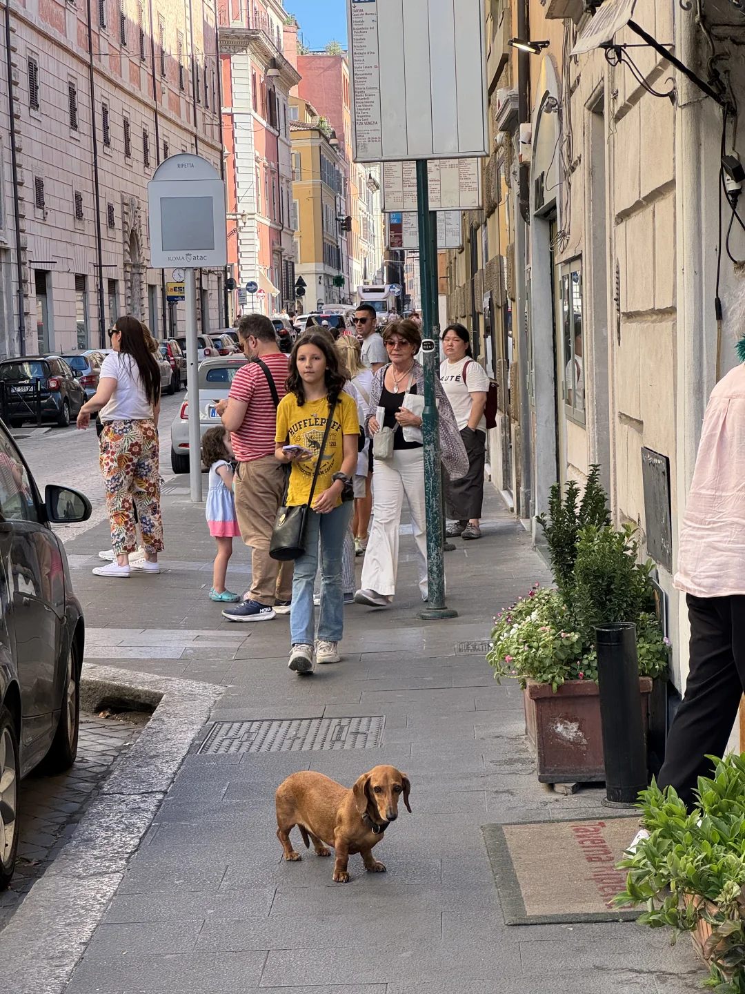 来了意大利 我明白为什么国人活着这么拧巴