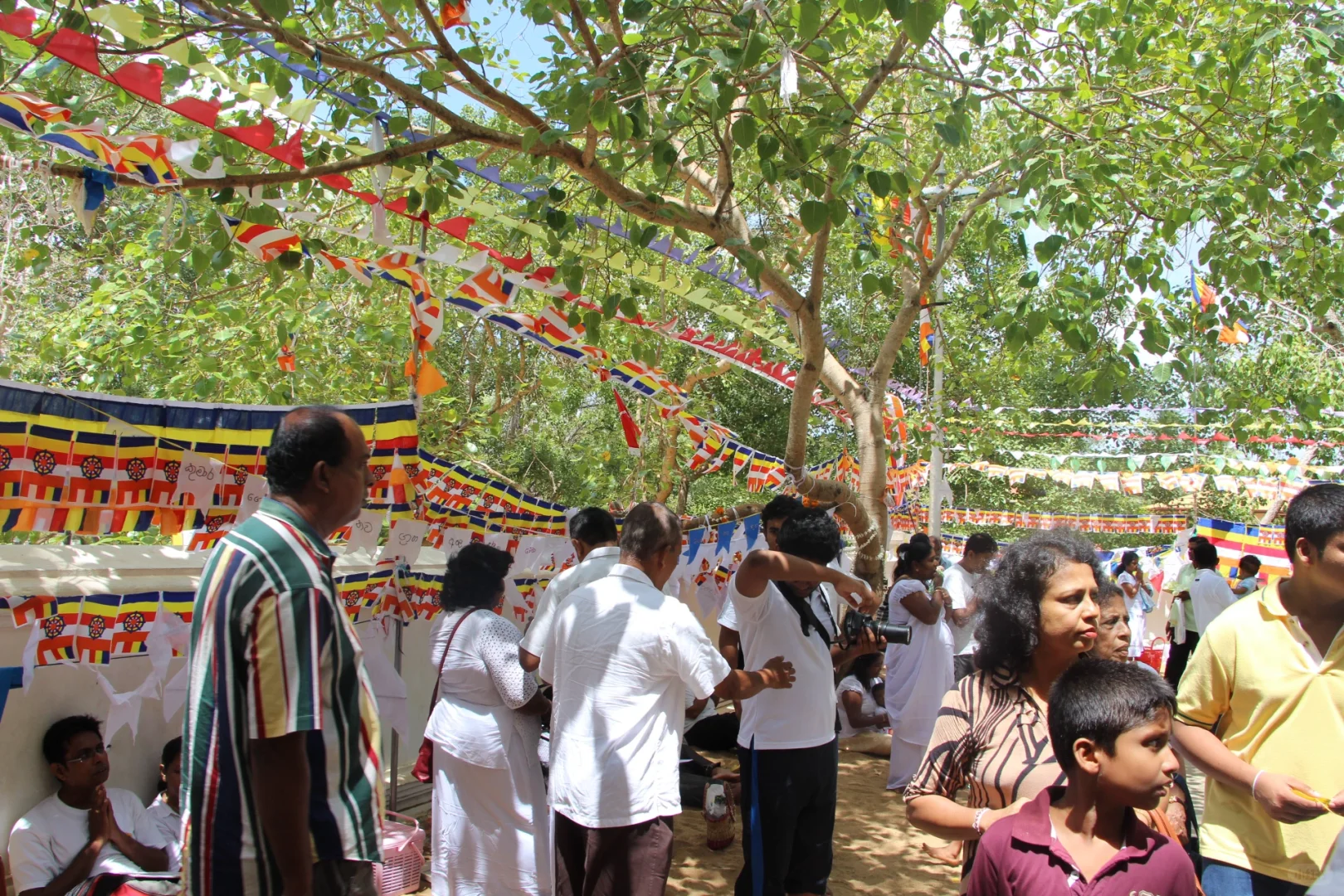 斯里兰👣阿努拉德普勒，最古老的菩提树