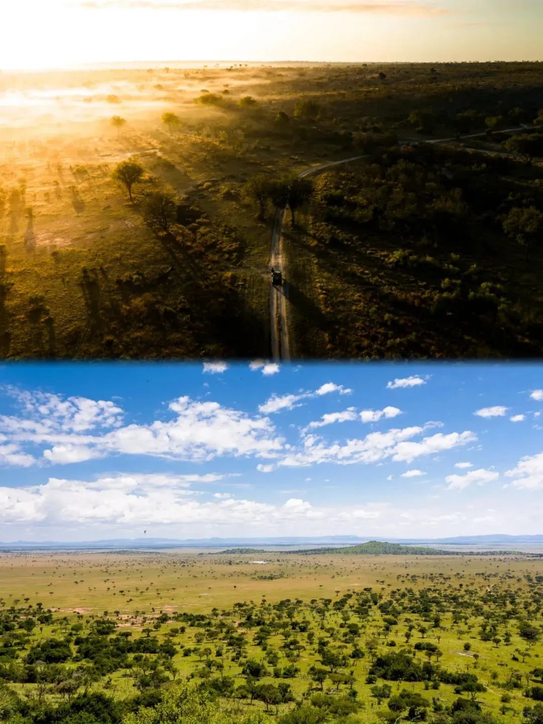 去坦桑尼亚旅行，花十几万去看动物⁉️