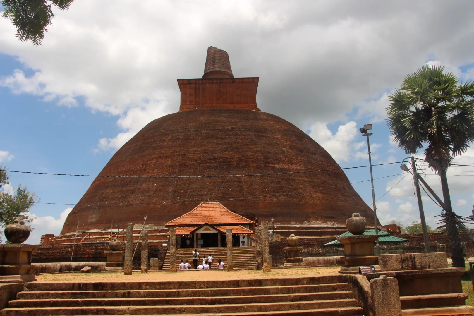 斯里兰👣阿努拉德普勒，最古老的菩提树