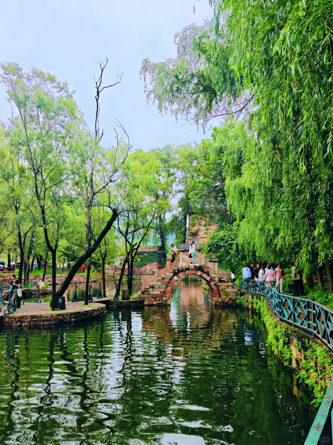 半个河北的人都来这了！太美了