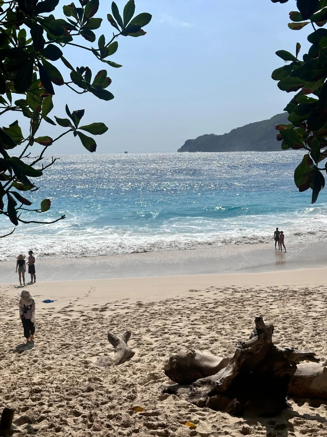 📍8.28印尼受罪已逃，（已被宰）内容很脏