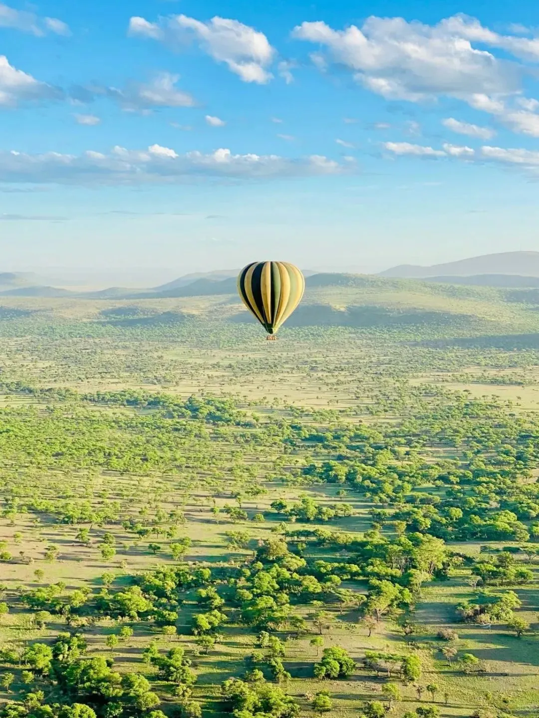 去坦桑尼亚旅行，花十几万去看动物⁉️