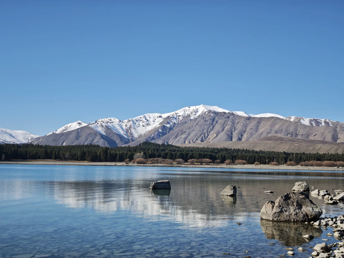 新西兰跟团游后感
