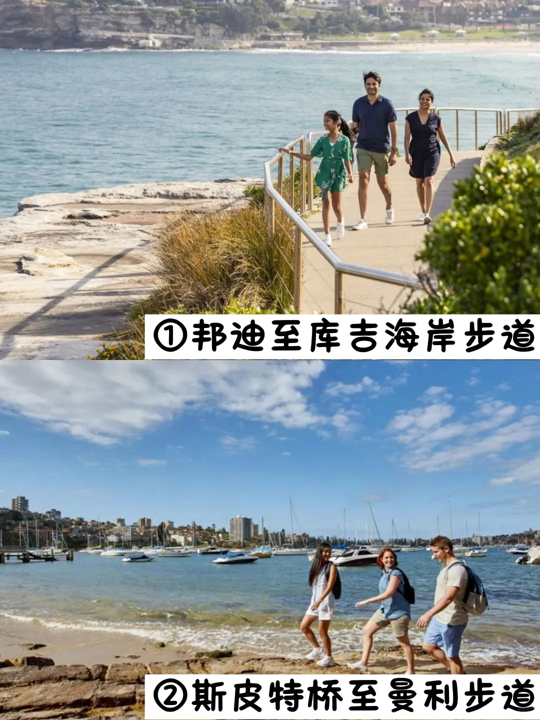 📍悉尼必打卡6条徒步路线盘点⛰