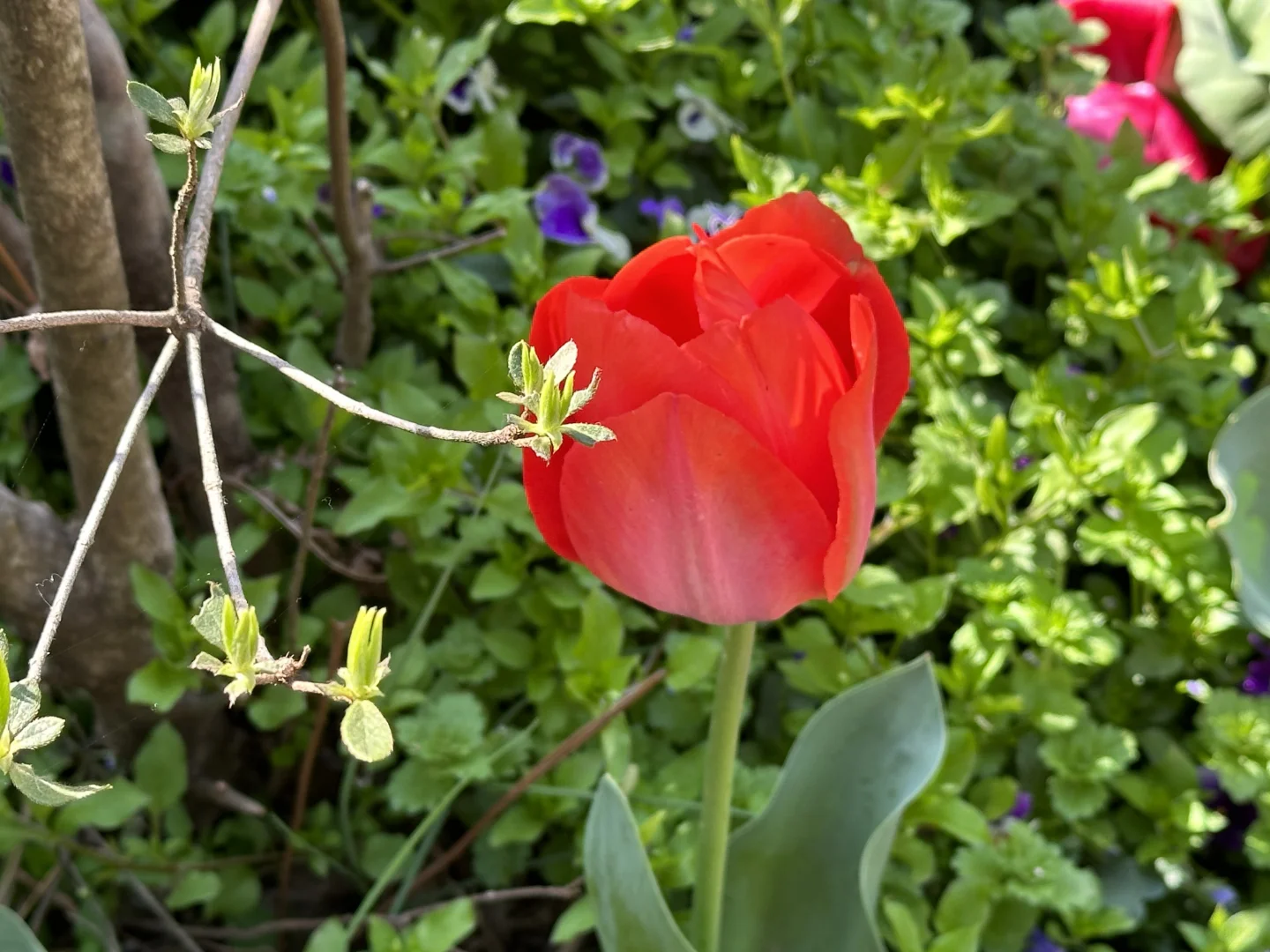 🚩江西南昌-景德镇-婺源 出行记录来了哦