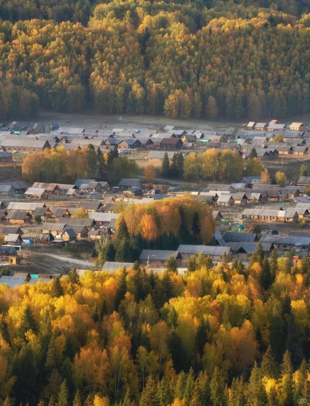 趁爸妈年轻，来北疆阿勒泰赏秋，慢节奏❗️