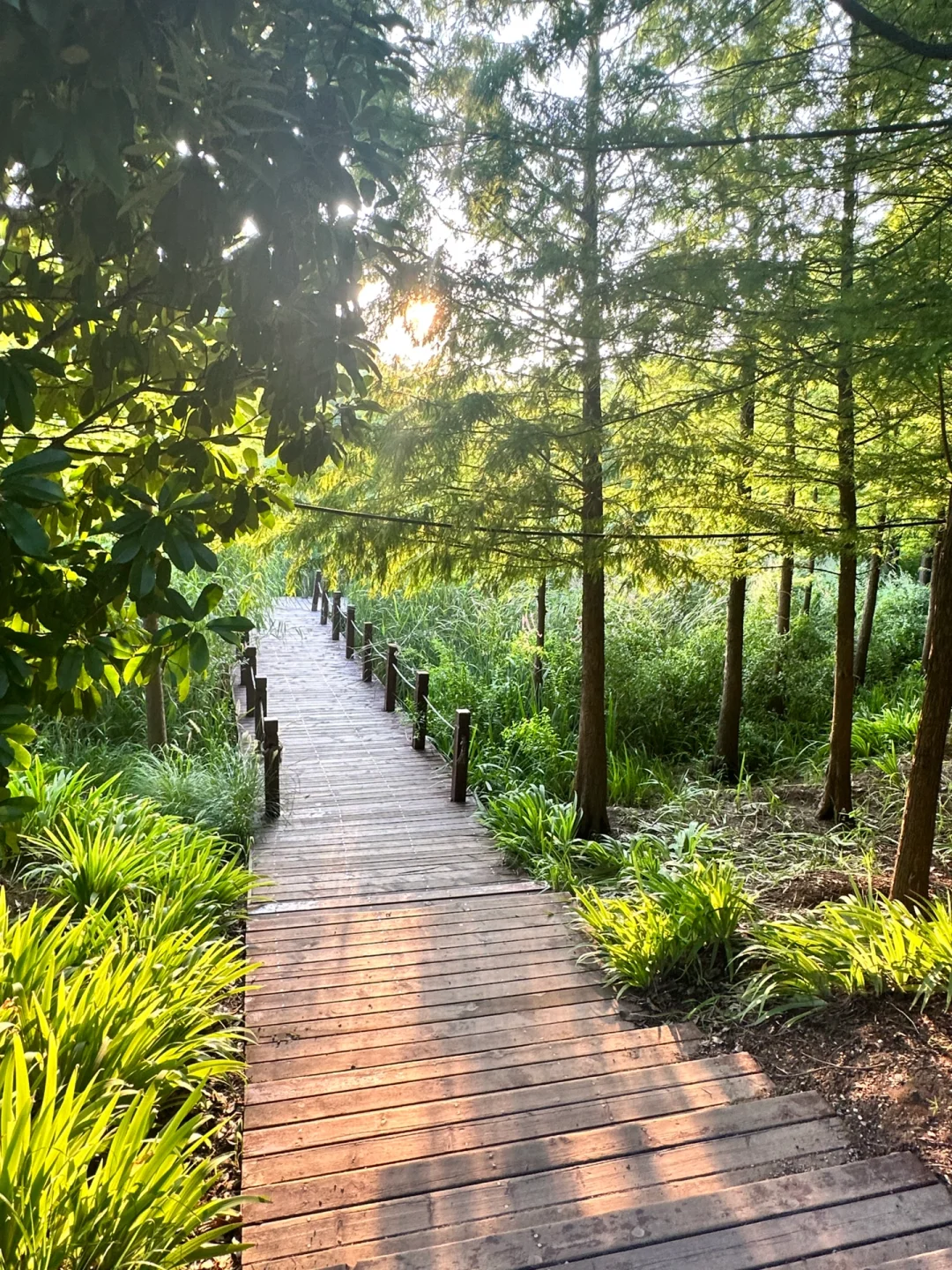 邯郸周边游｜紫山 超梦幻！巨出片