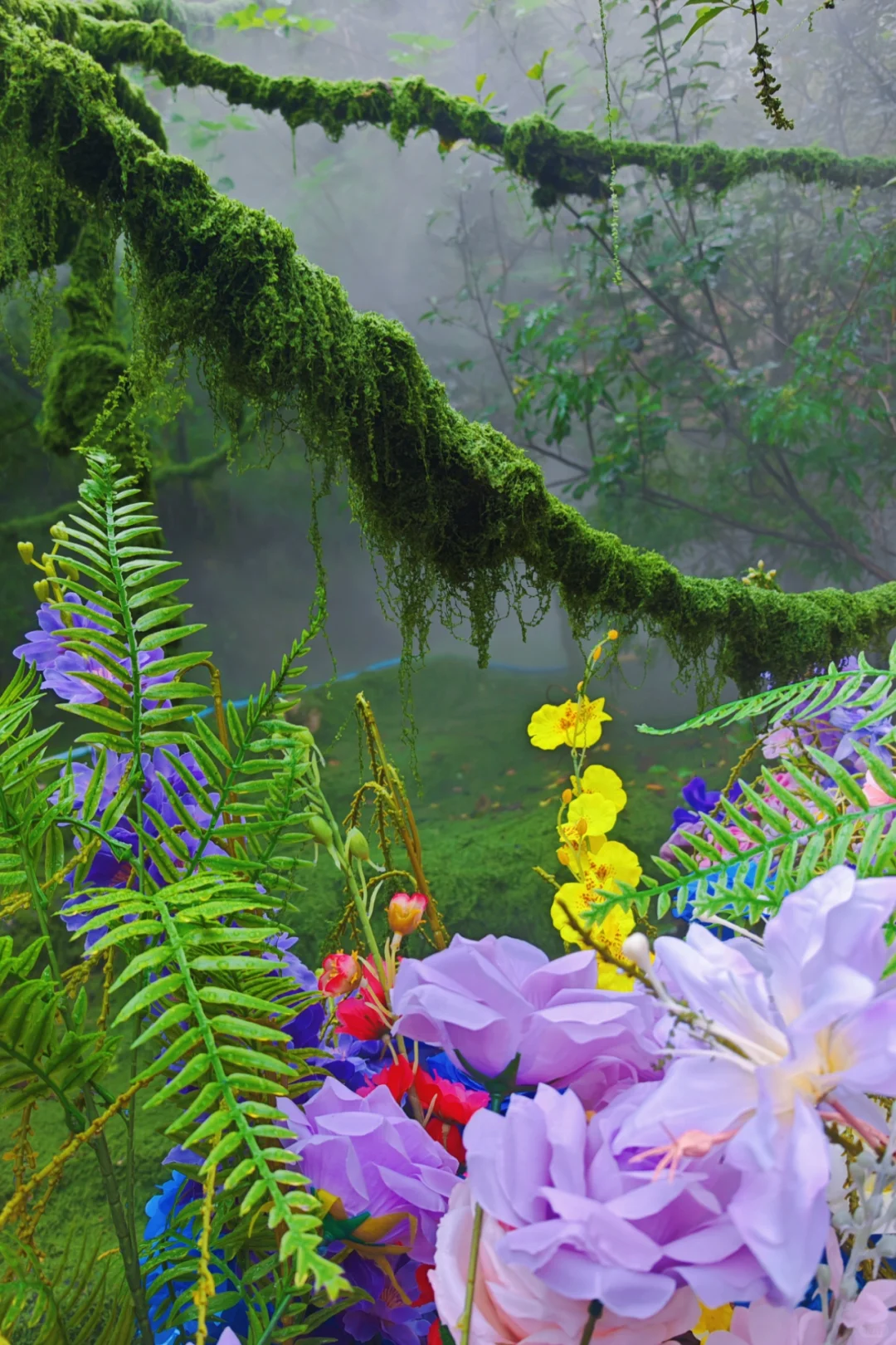 半个河北的人都来这了！太美了