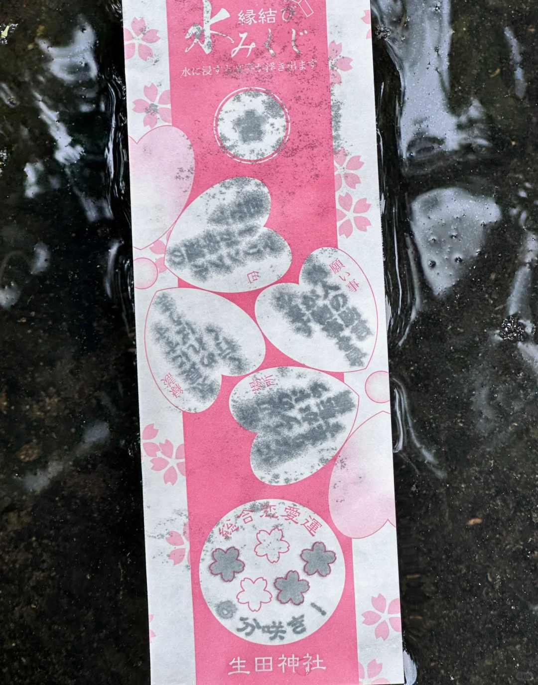 无障碍出国！关西旅游超全攻略！