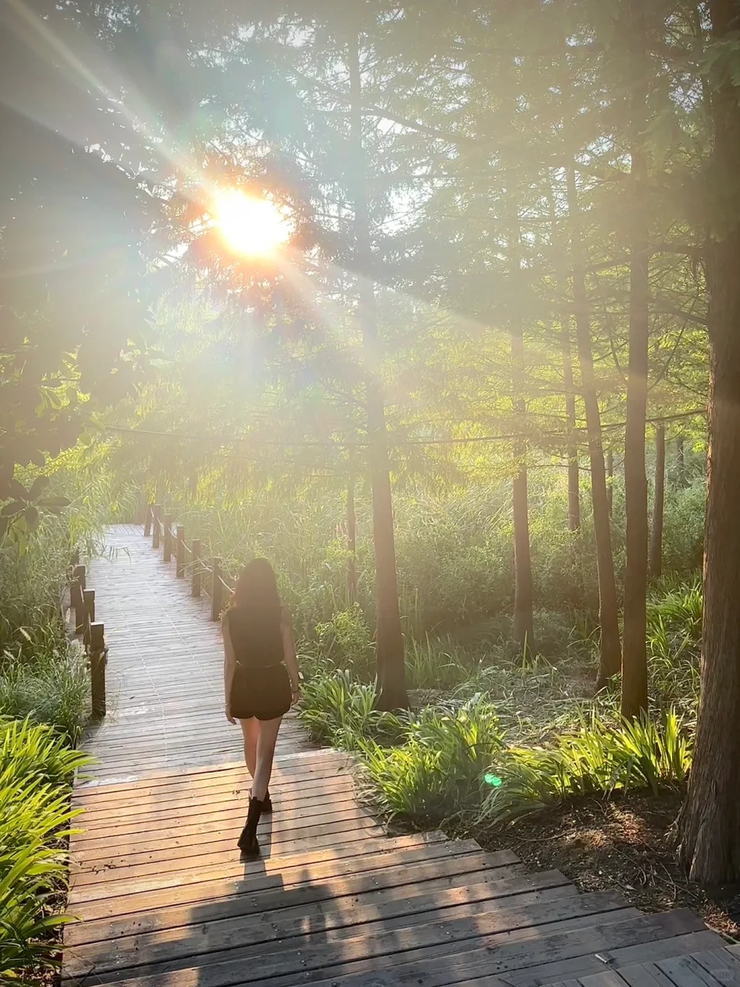 邯郸周边游｜紫山 超梦幻！巨出片