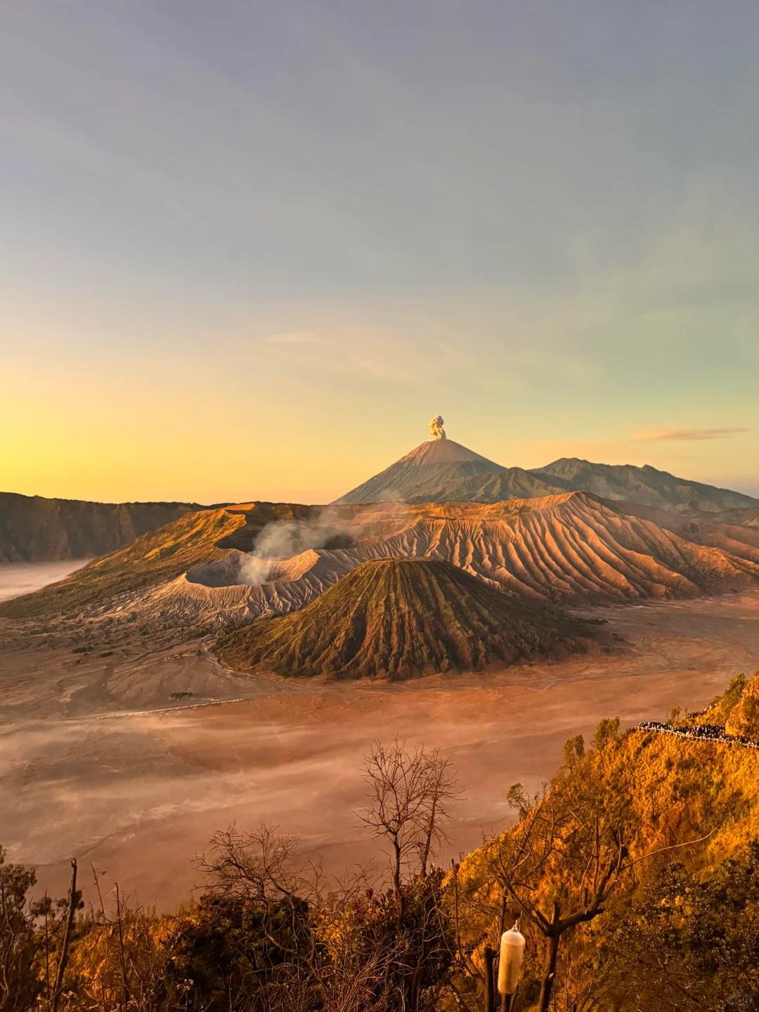 📍8.28印尼受罪已逃，（已被宰）内容很脏