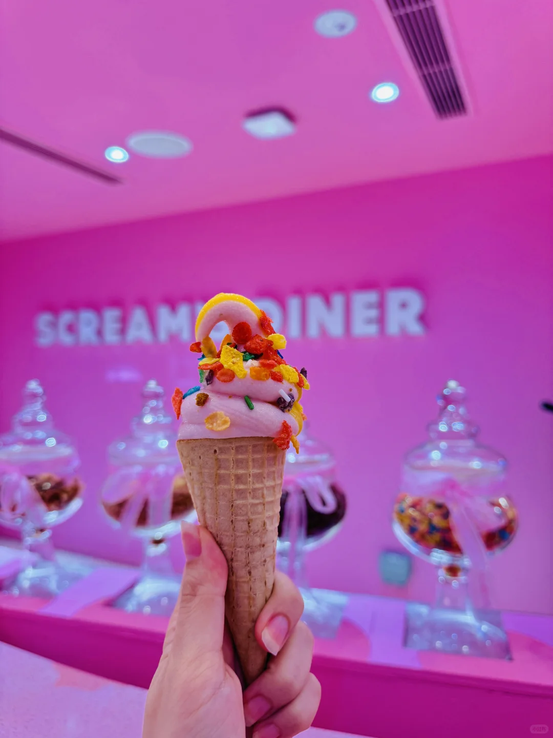 🇸🇬新加坡|挑战打卡SG 100个隐藏景点！！