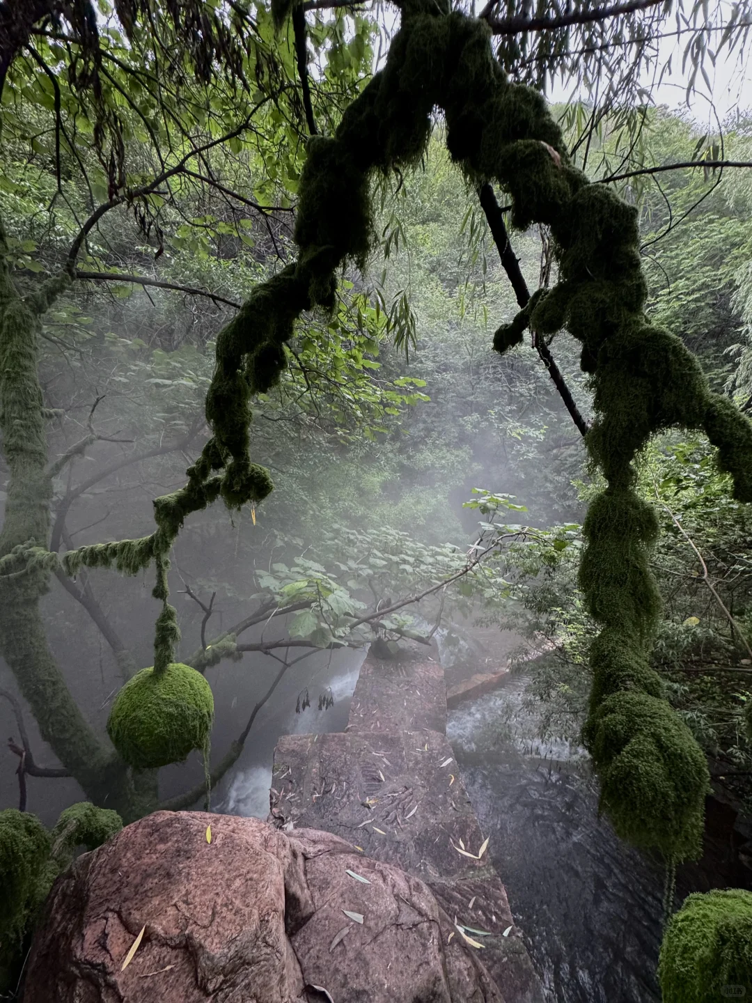 石家庄周边小江南🍃真的好chill……