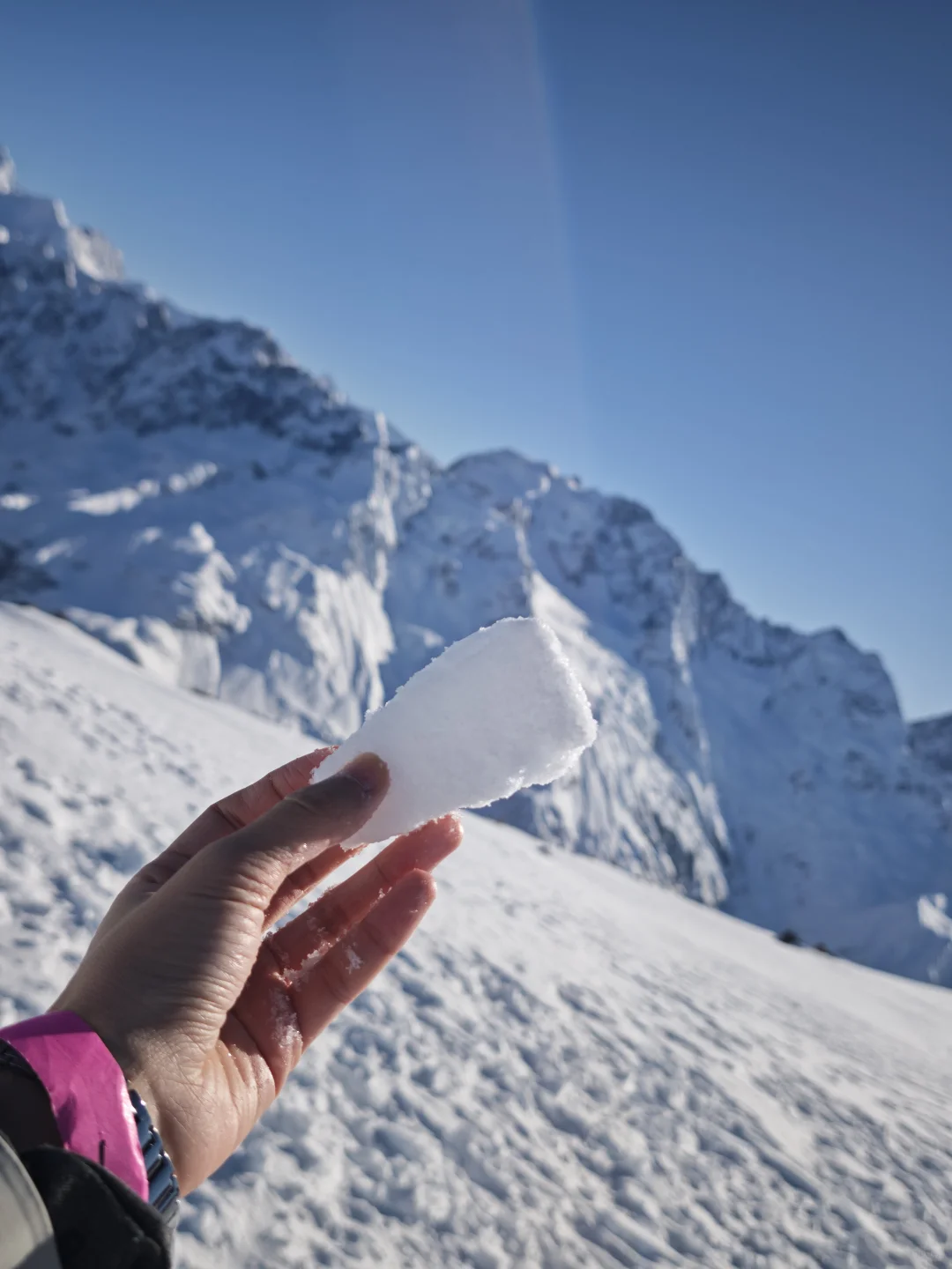 新西兰跟团游后感