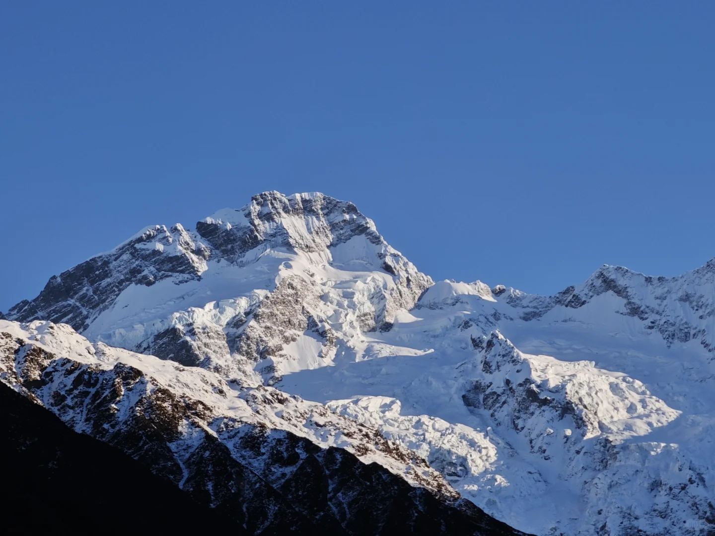 新西兰跟团游后感