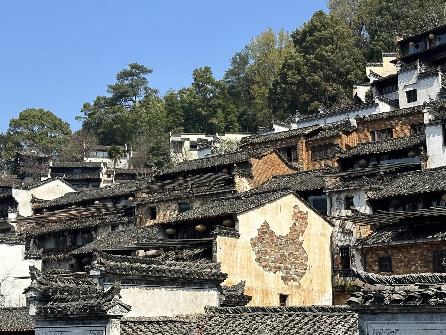 🚩江西南昌-景德镇-婺源 出行记录来了哦