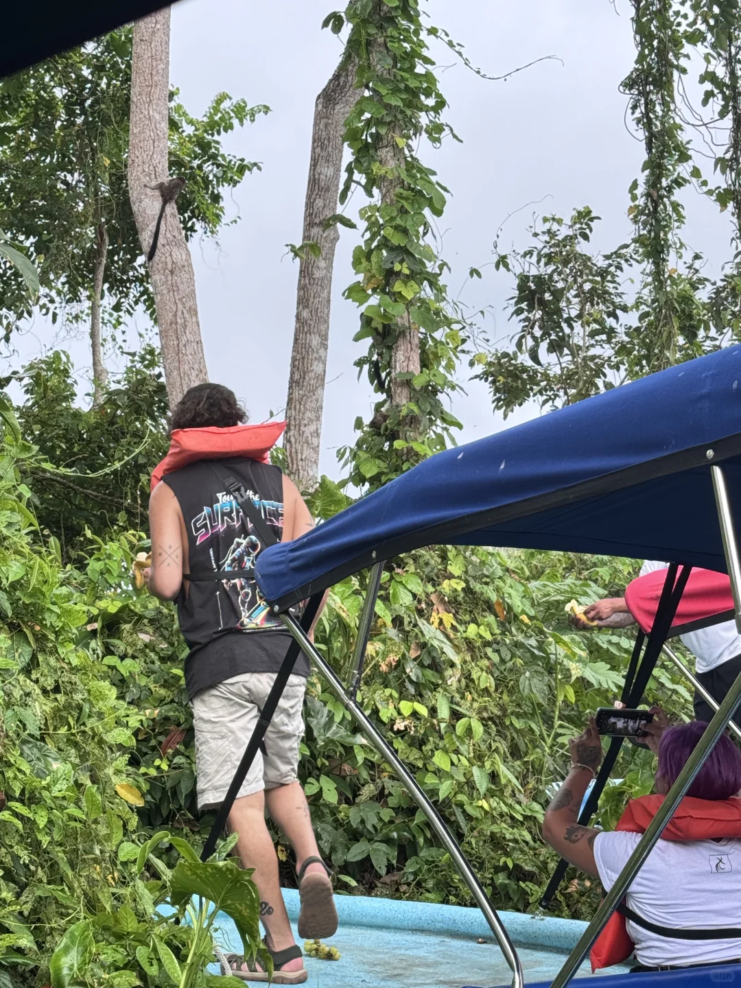 🌿 **巴拿马雨林奇遇记