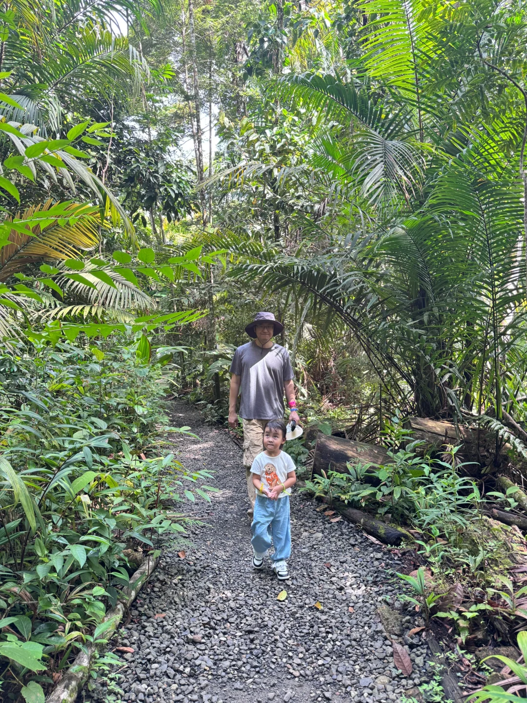 🌿 **巴拿马雨林奇遇记