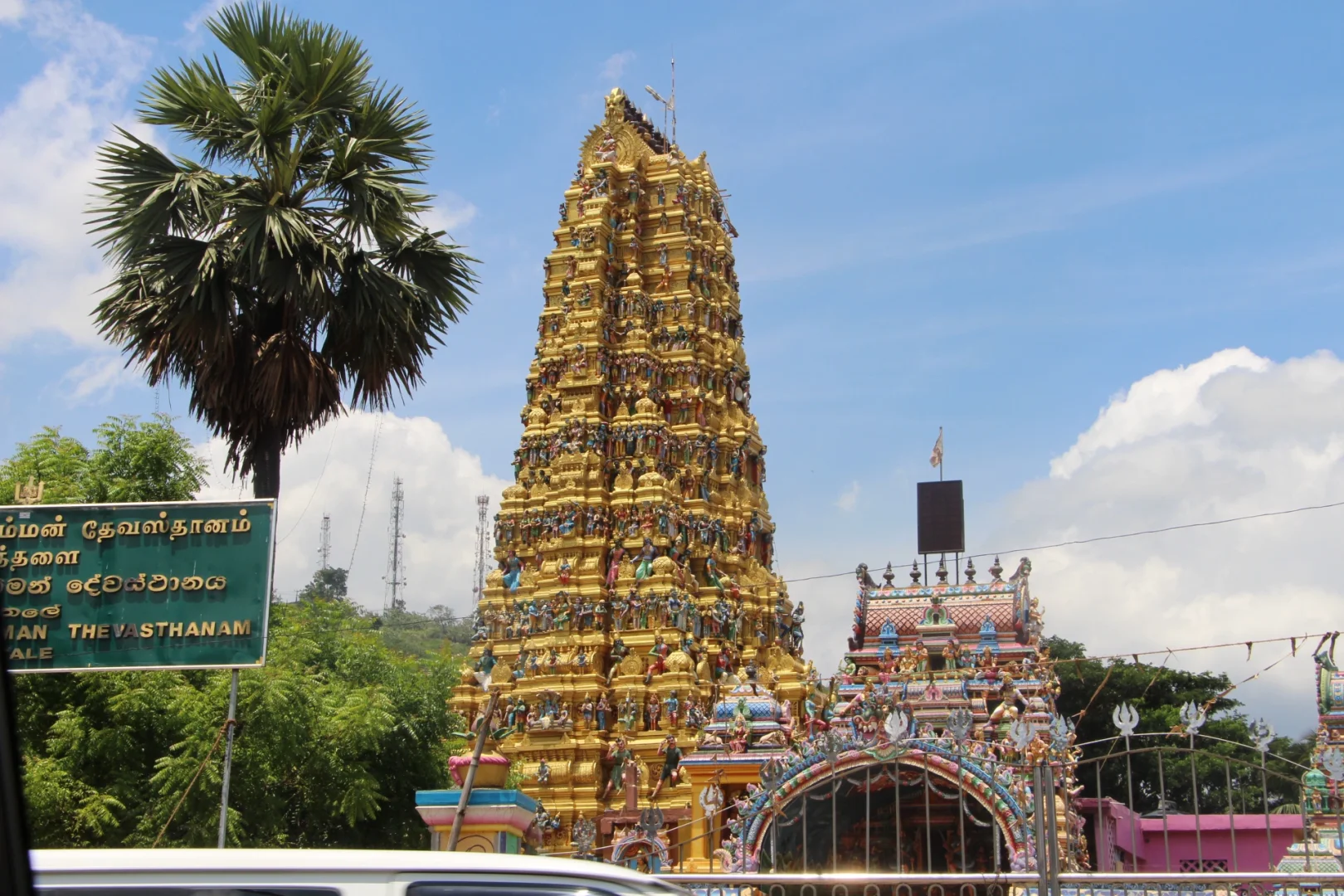 斯里兰👣阿努拉德普勒，最古老的菩提树