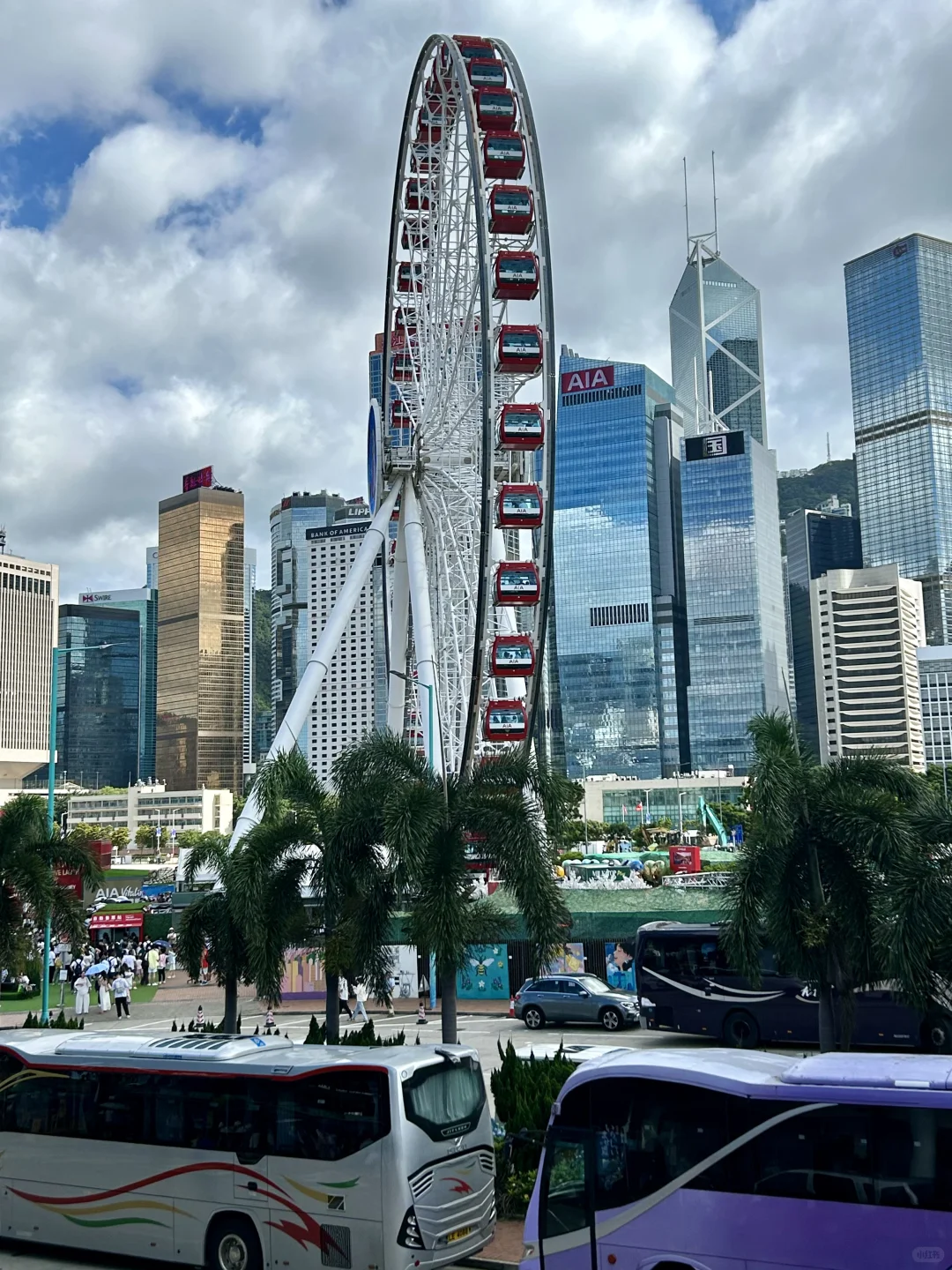 香港📍女大特种兵一日游人均200旅游攻略