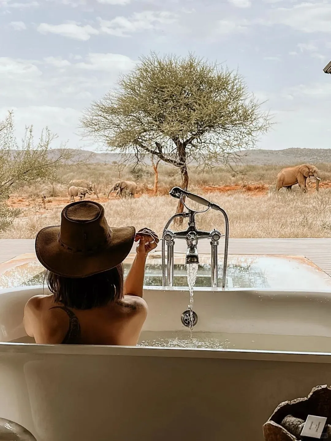 去坦桑尼亚旅行，花十几万去看动物⁉️