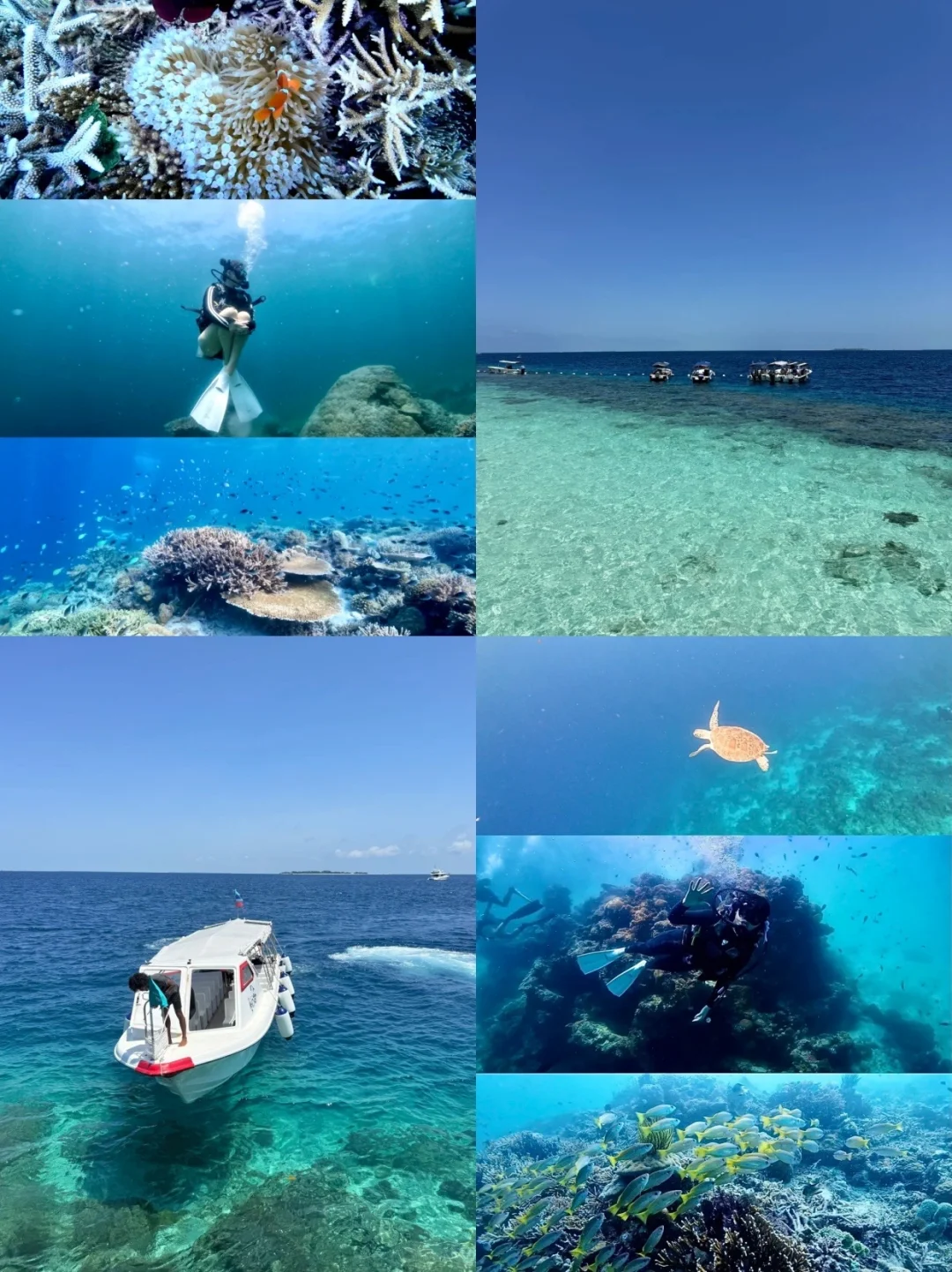 人均4.2K马来西亚7天6晚无脑出行