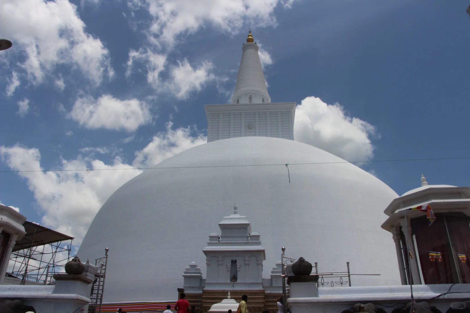 斯里兰👣阿努拉德普勒，最古老的菩提树