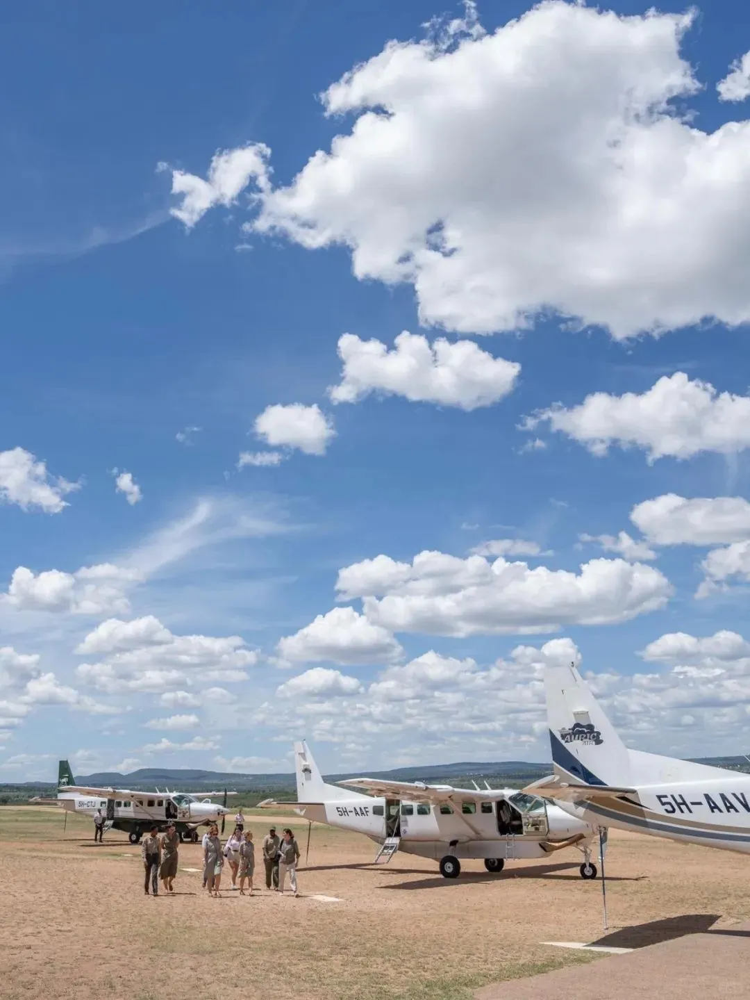 去坦桑尼亚旅行，花十几万去看动物⁉️