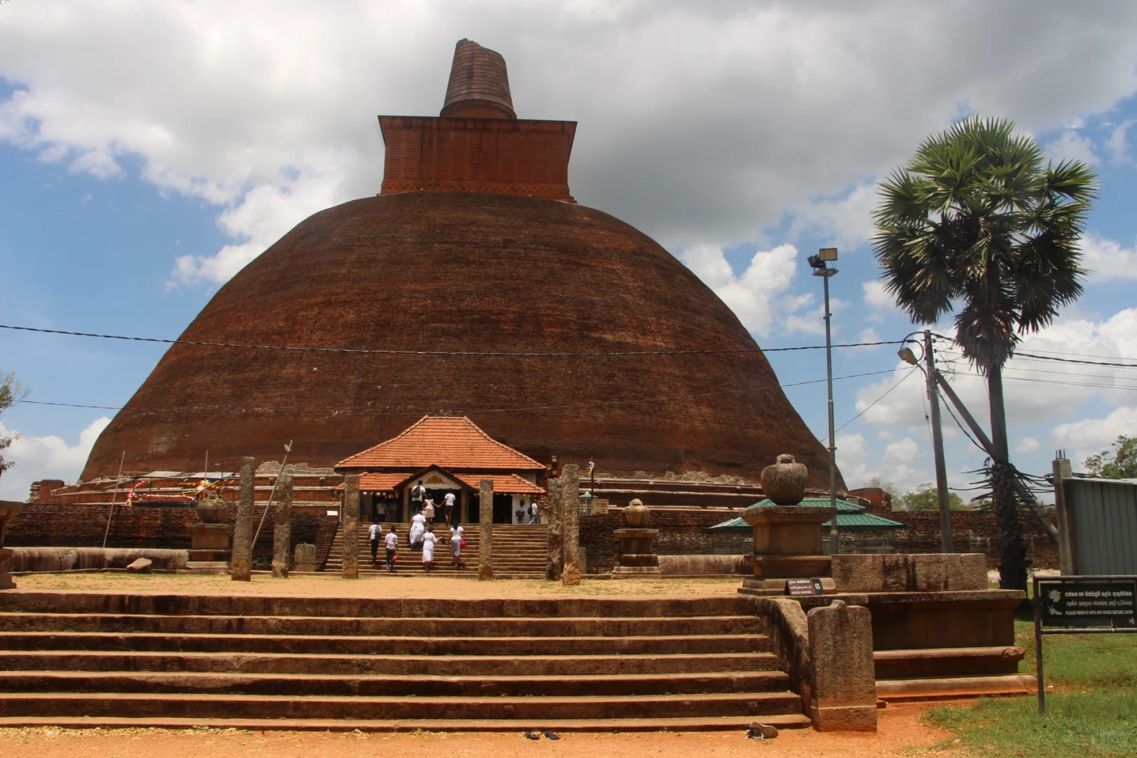斯里兰👣阿努拉德普勒，最古老的菩提树