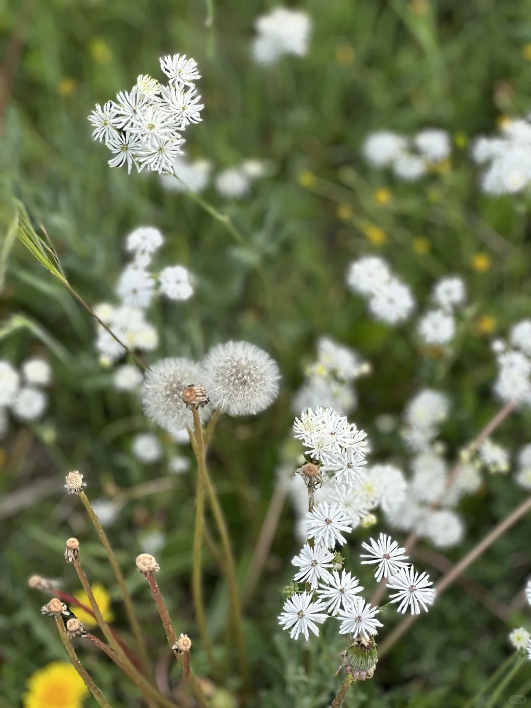 推荐几个没那么热门的旅行景点