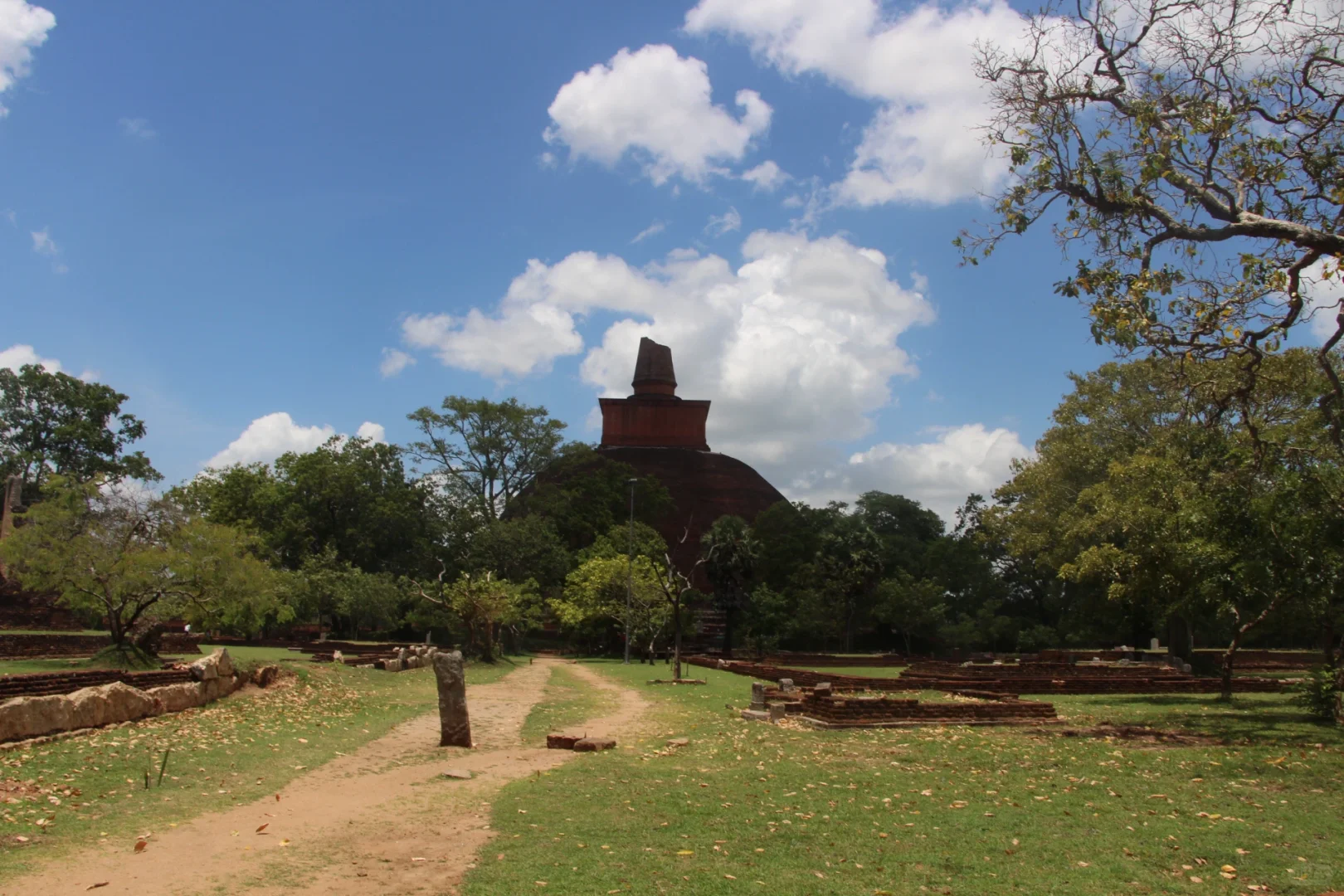 斯里兰👣阿努拉德普勒，最古老的菩提树