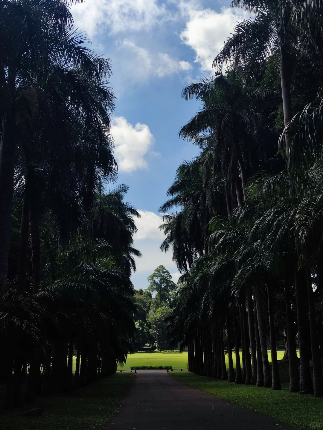 斯里兰卡❗小众宝藏旅行地❗每天100R不到