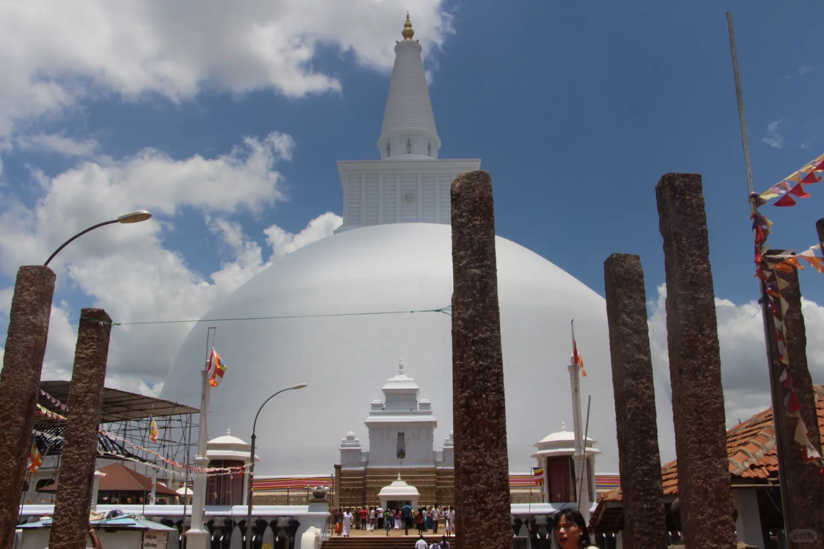 斯里兰👣阿努拉德普勒，最古老的菩提树