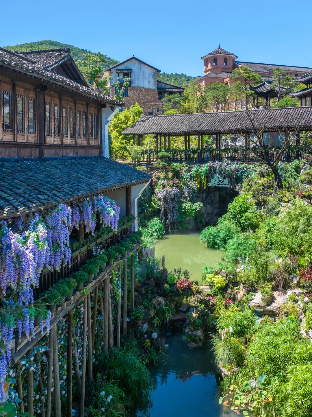今年为止,我带娃去过最惊喜旅游小镇出现了