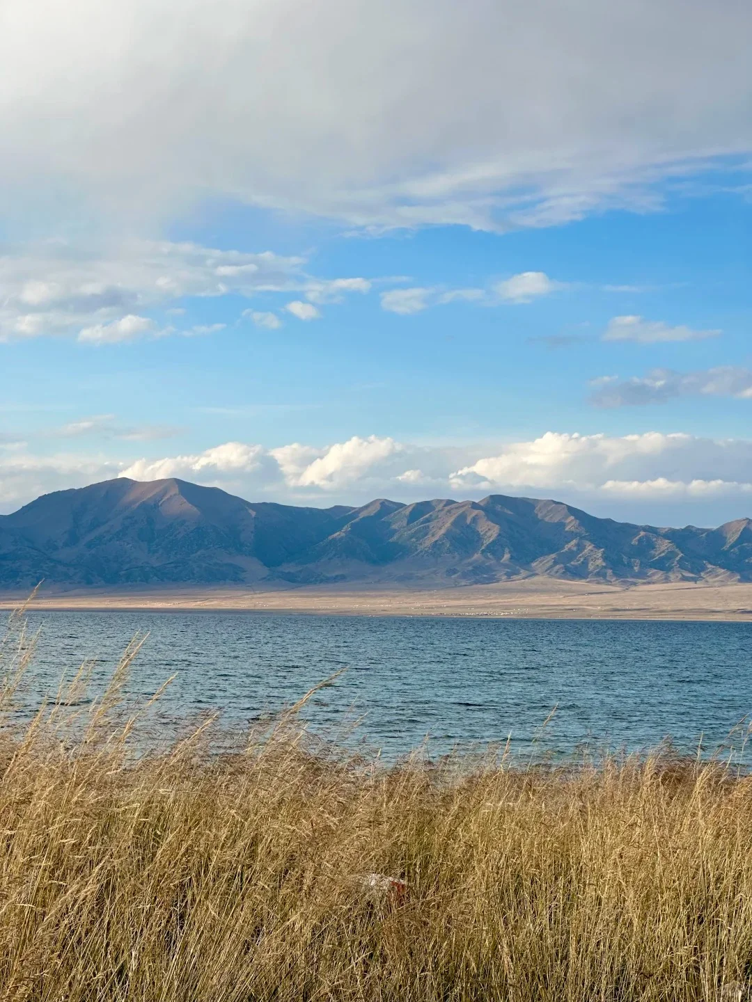 趁爸妈年轻，来北疆阿勒泰赏秋，慢节奏❗️
