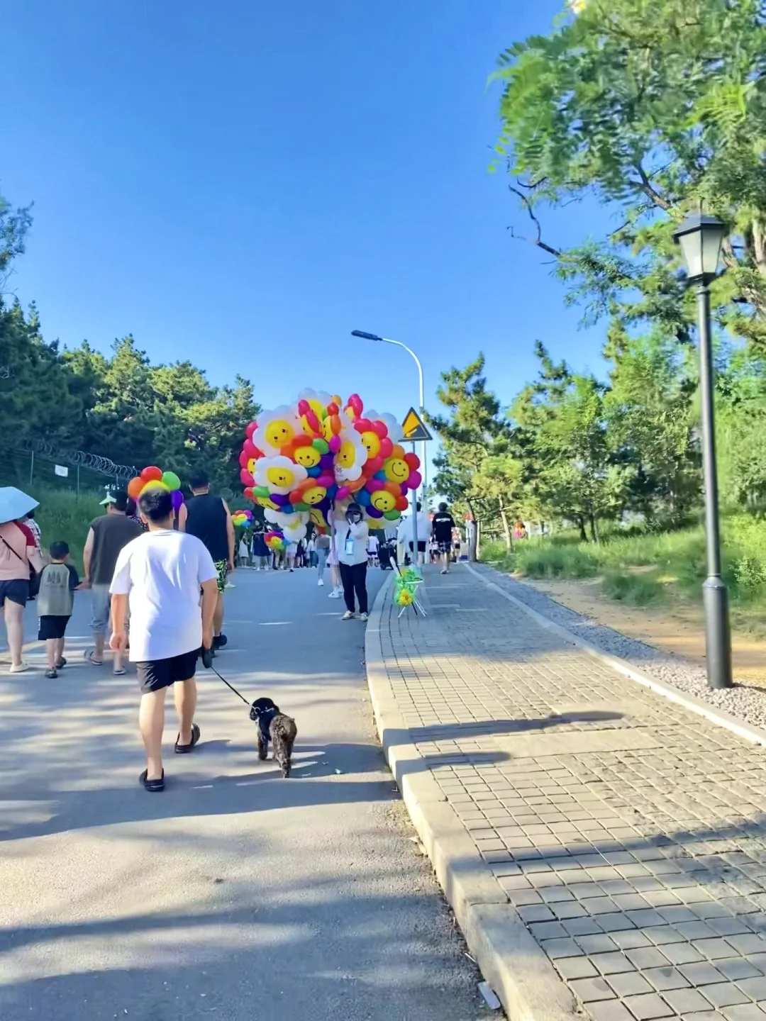 📍威海|被低估的海边小城🐚🪼🏝️☀️