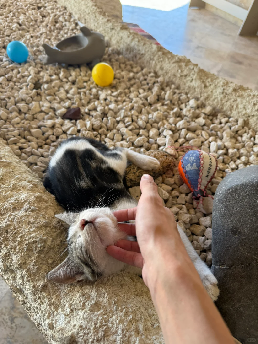 这大概就是结婚👫和努力挣钱的意义吧……