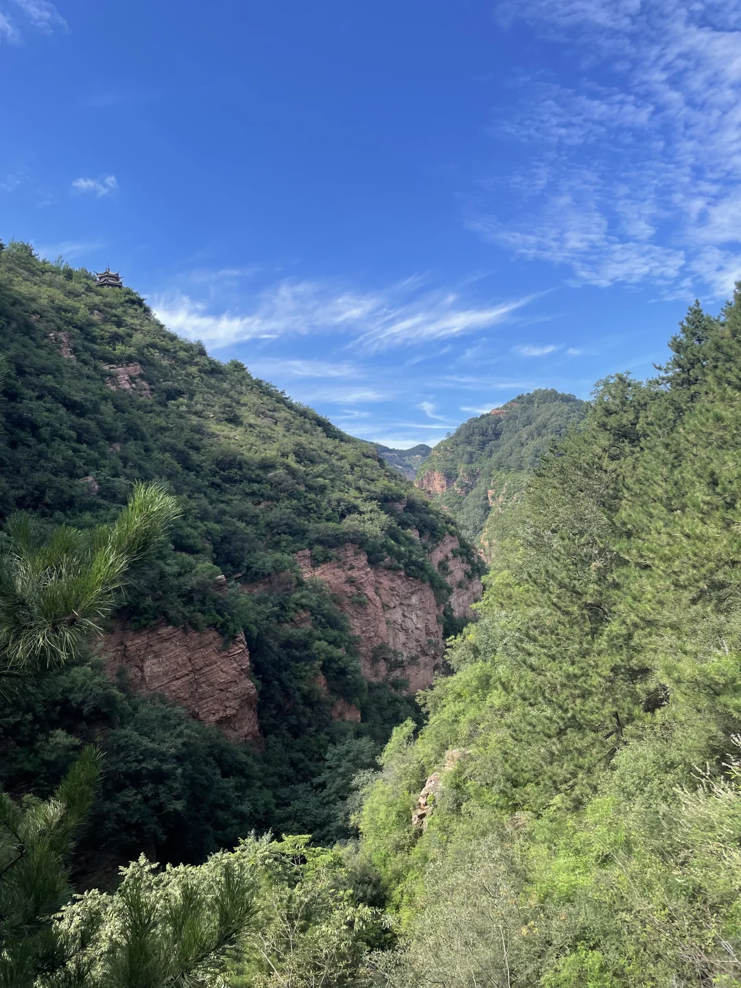 太行山花溪谷 小众避暑胜地！
