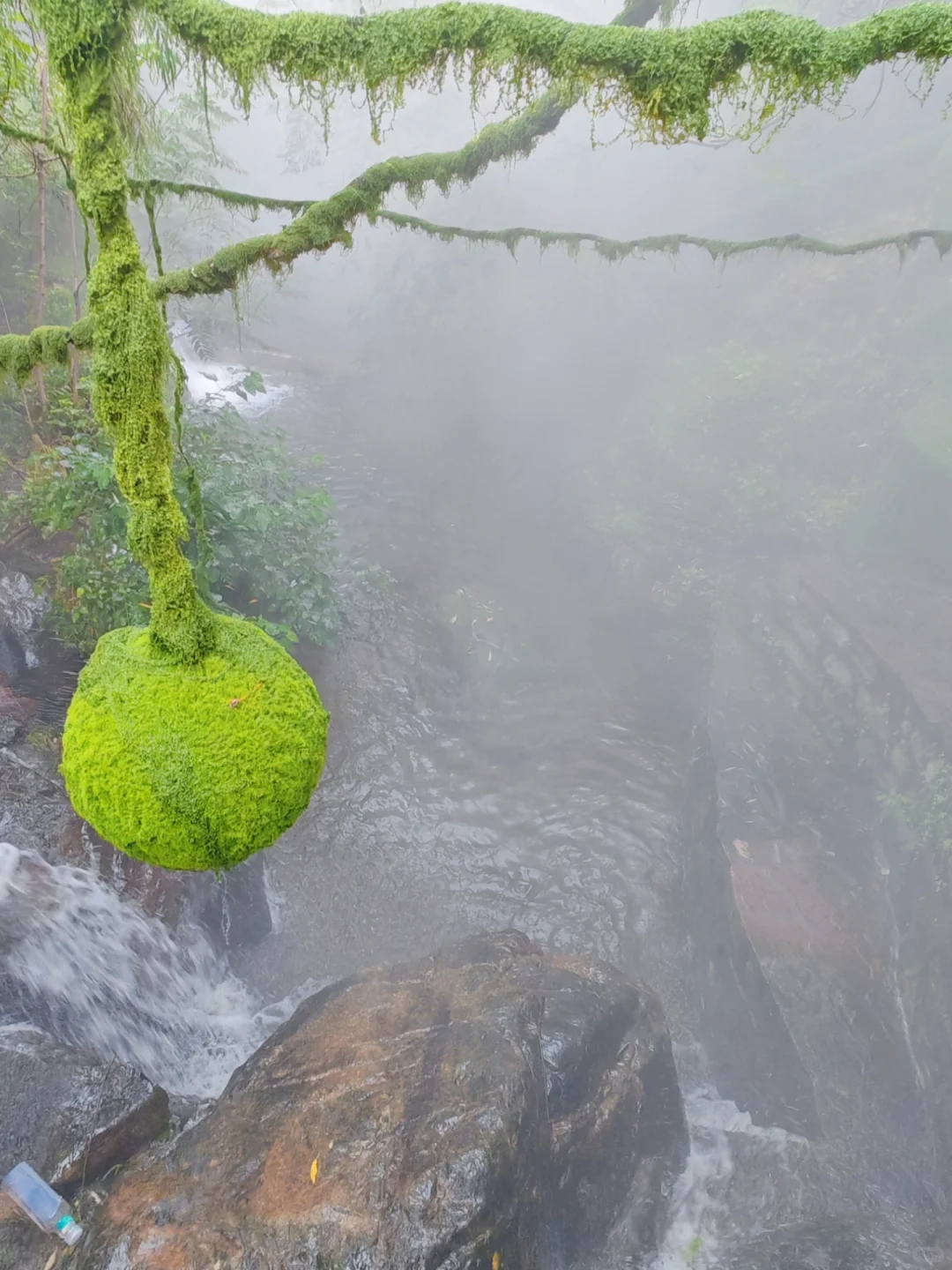 半个河北的人都来这了！太美了