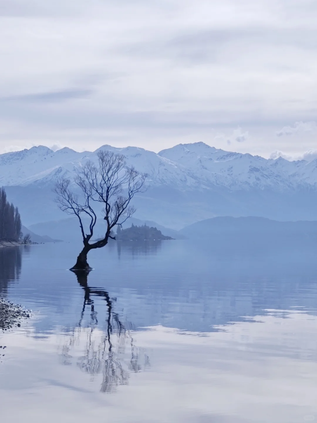 新西兰跟团游后感