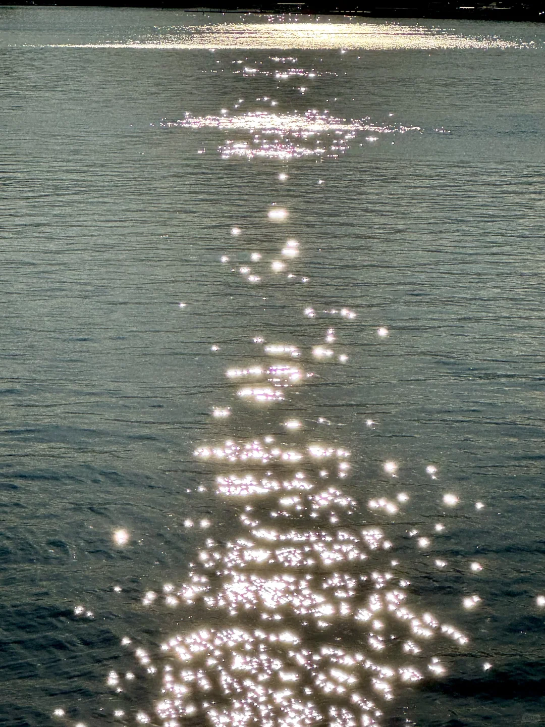 北欧的夏天太美好!Live图|旅行碎片🧩记录者