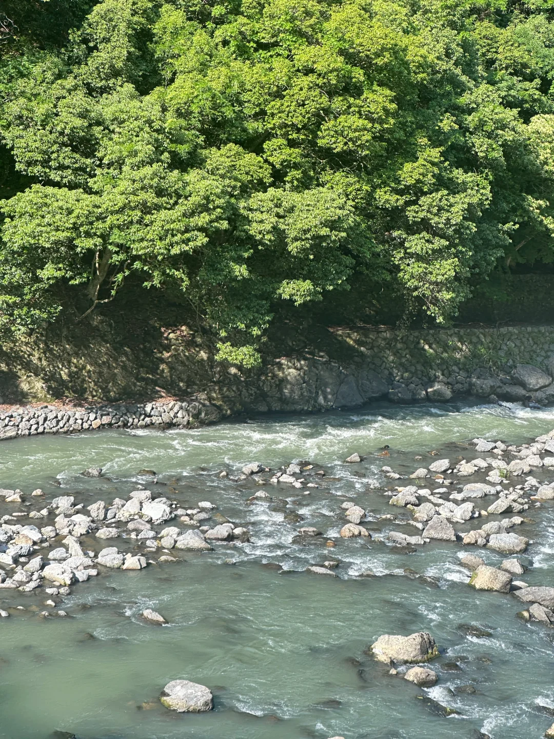 无障碍出国！关西旅游超全攻略！