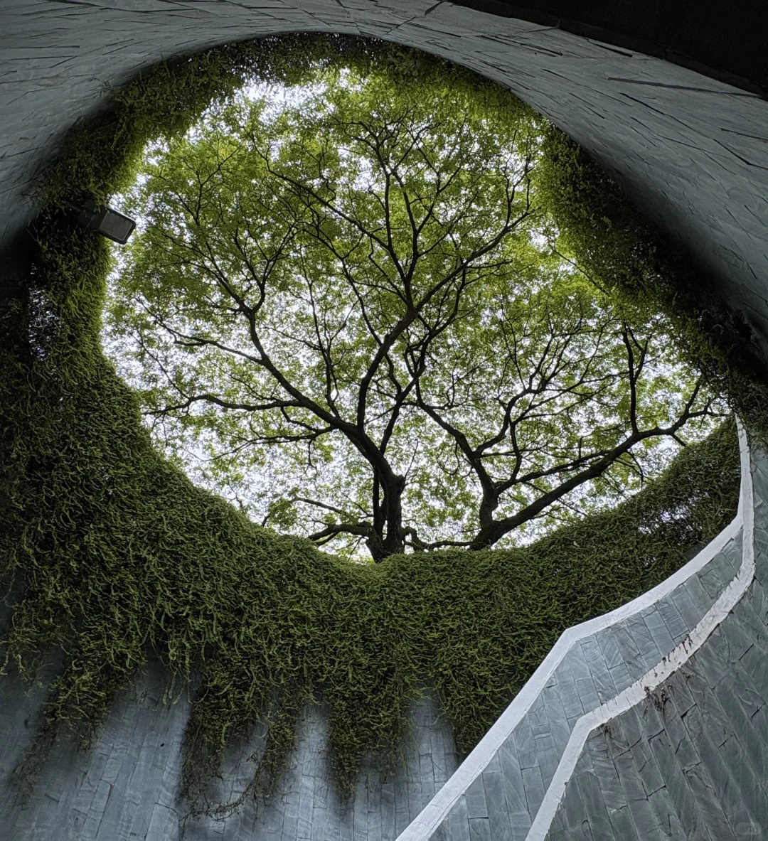 西安-新加坡<周末游>攻略不请假版