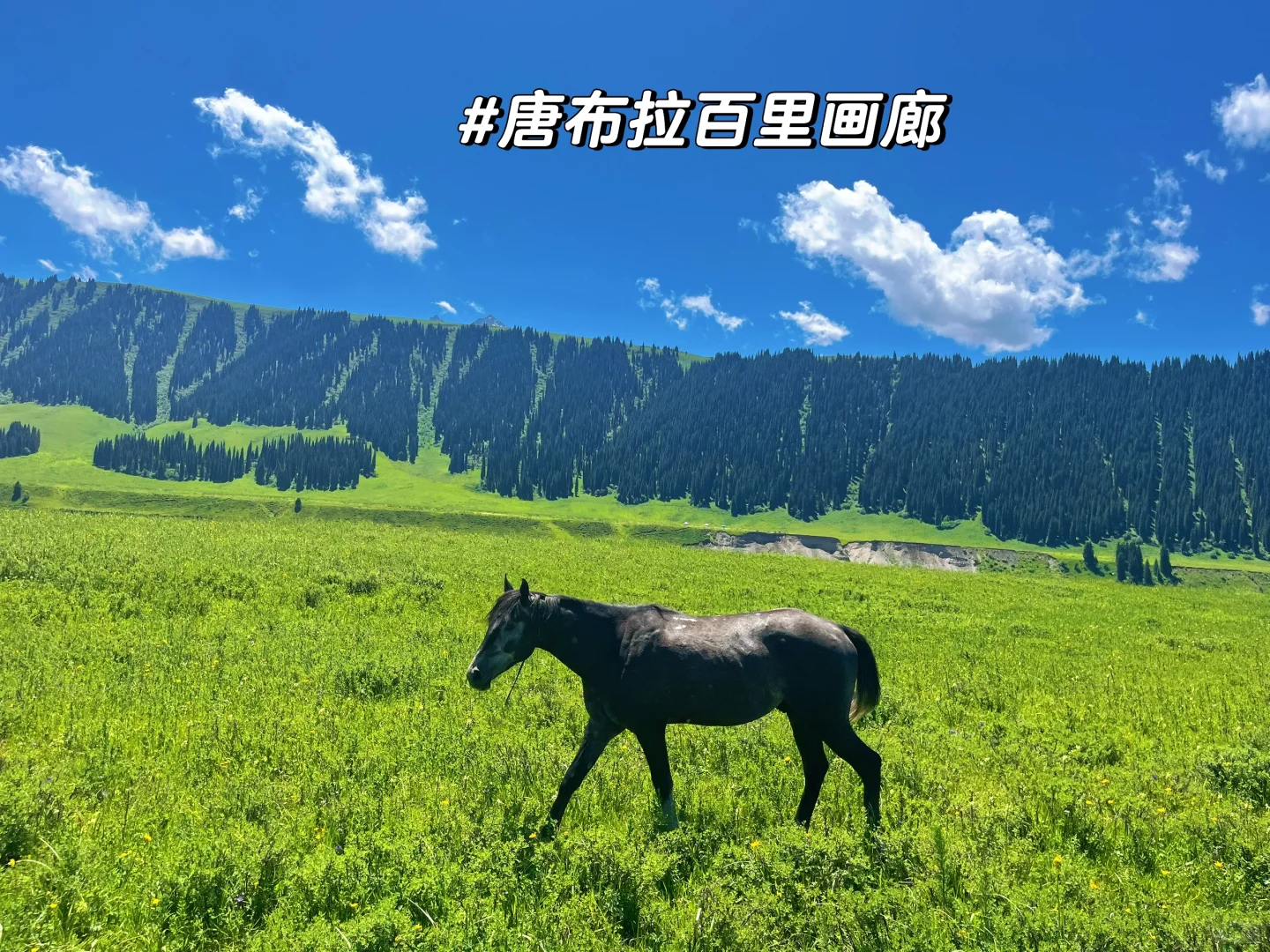 我心中的新疆旅游必打卡景点👍Top 9！