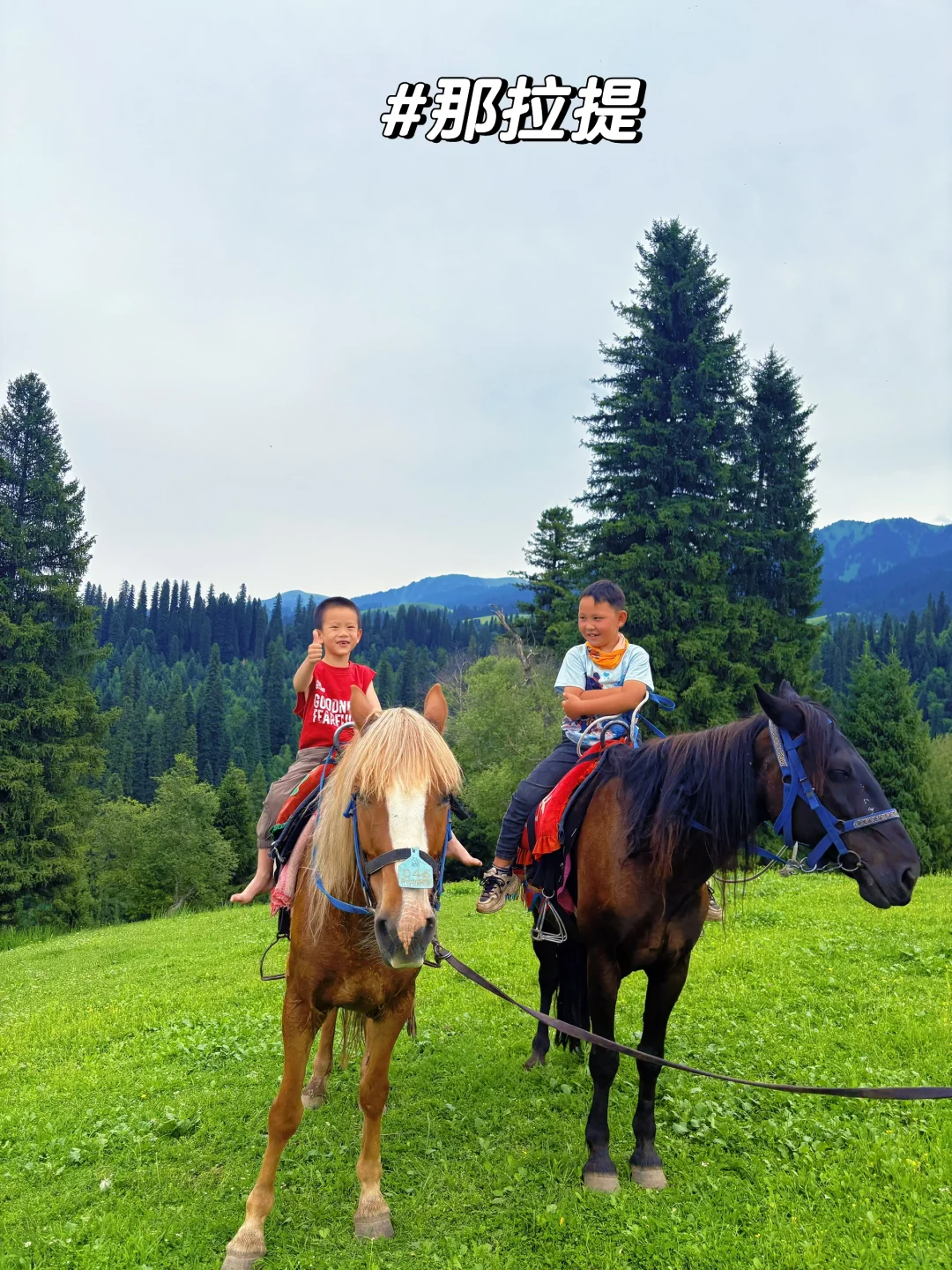 我心中的新疆旅游必打卡景点👍Top 9！