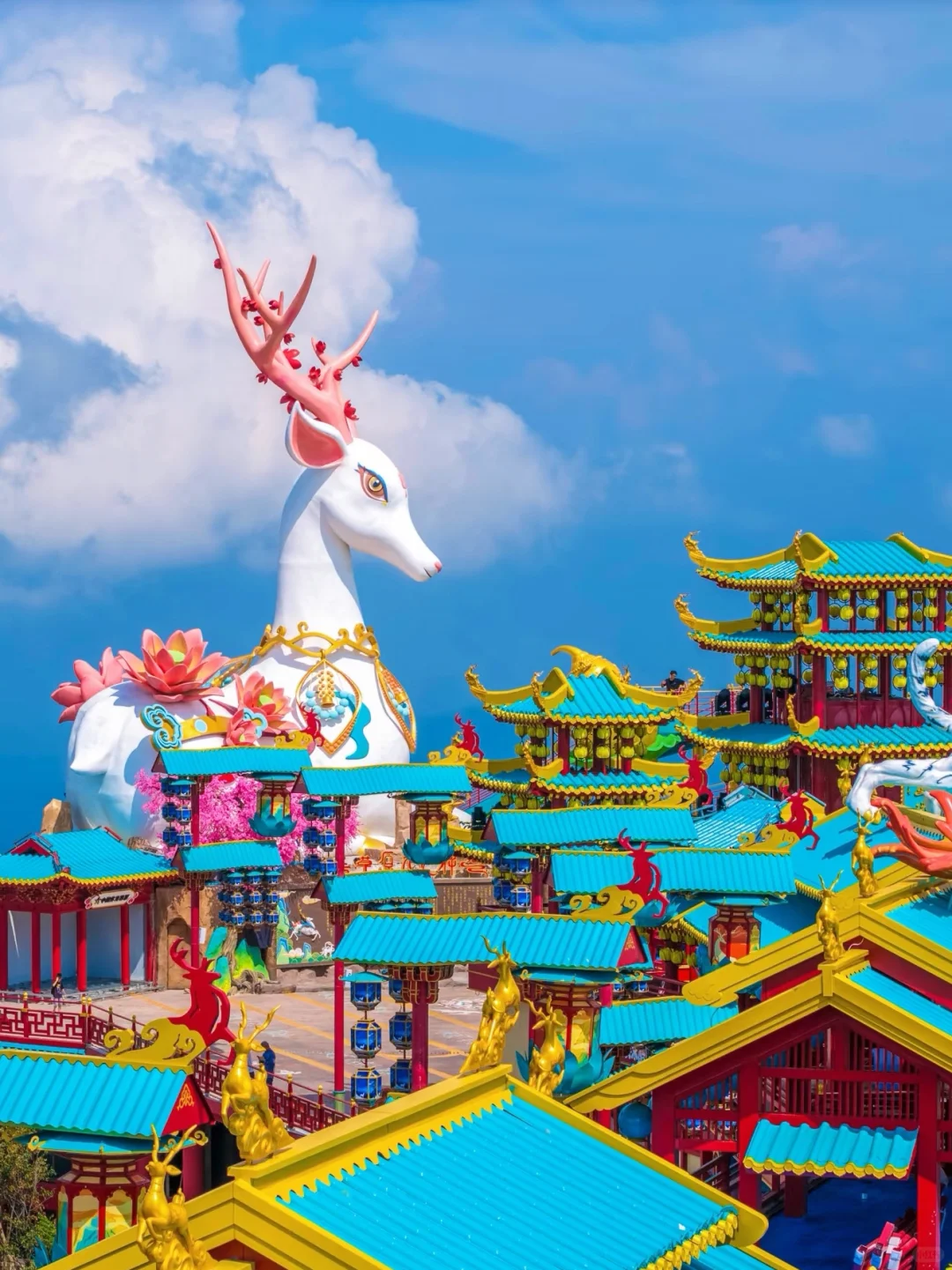 刚从云上草原回来！总结了一份不踩雷攻略